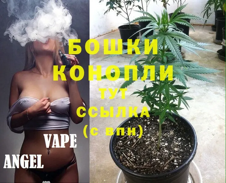 Канабис White Widow  хочу   Мичуринск 